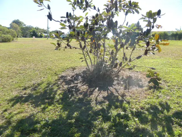 Third view of Homely land listing, 71 Endeavour Dr, Cooloola Cove QLD 4580