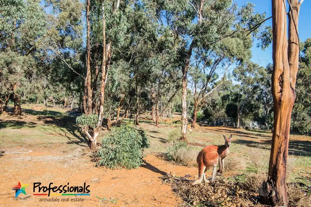 Main view of Homely land listing, 87 Beenyup Rd, Karrakup WA 6122