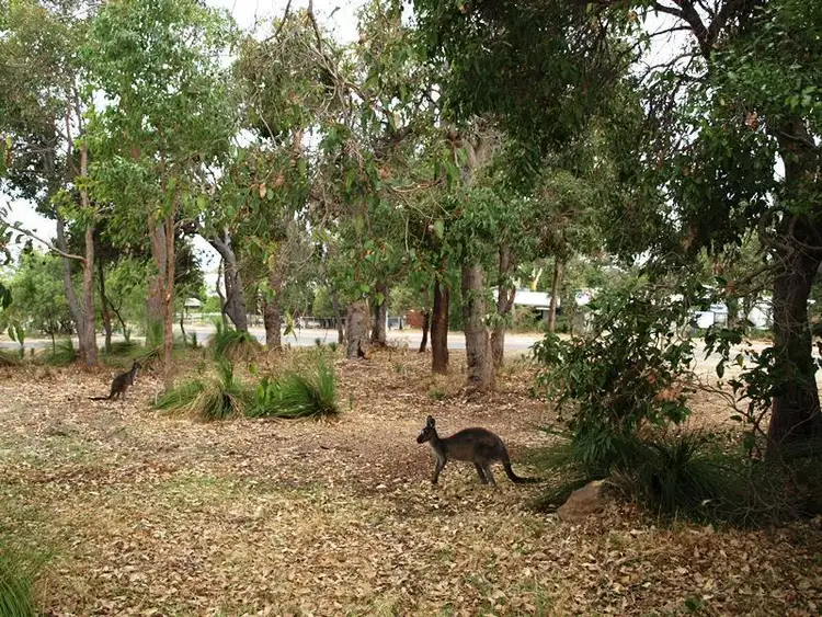 Seventh view of Homely land listing, 1 Toddy Place, Dunsborough WA 6281