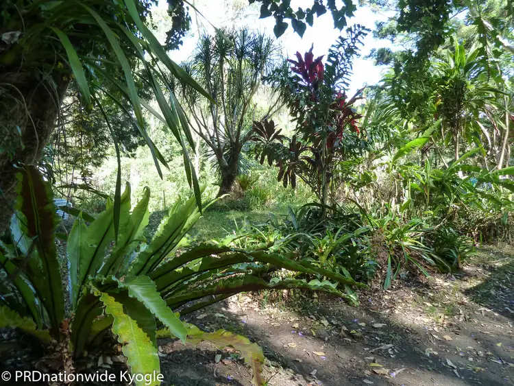 Fifth view of Homely rural property listing, 362 Boundary Creek Road, Bentley, Kyogle NSW 2474