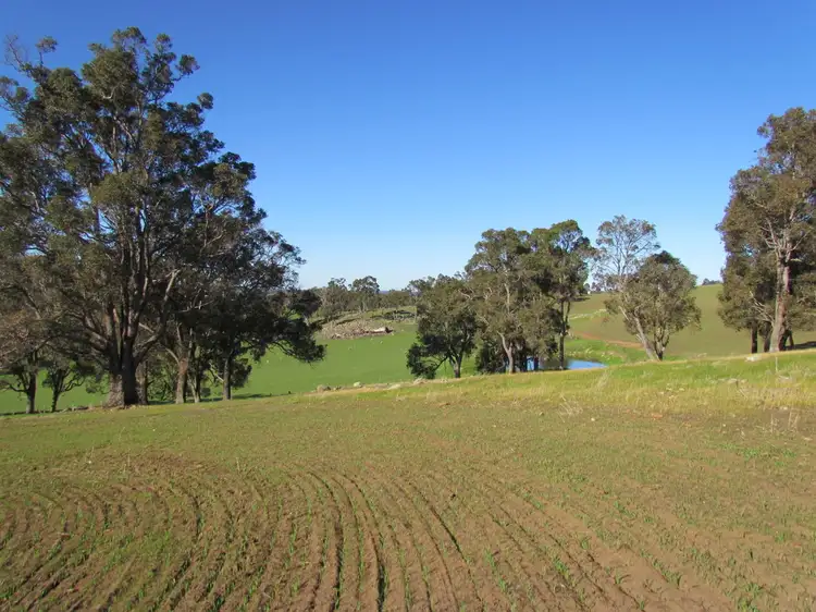 Fourth view of Homely rural property listing, Lot 733 Winnejup Road, Mayanup WA 6244