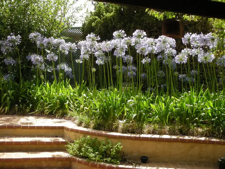 Fifth view of Homely house listing, 28 Armour Way, Lesmurdie WA 6076