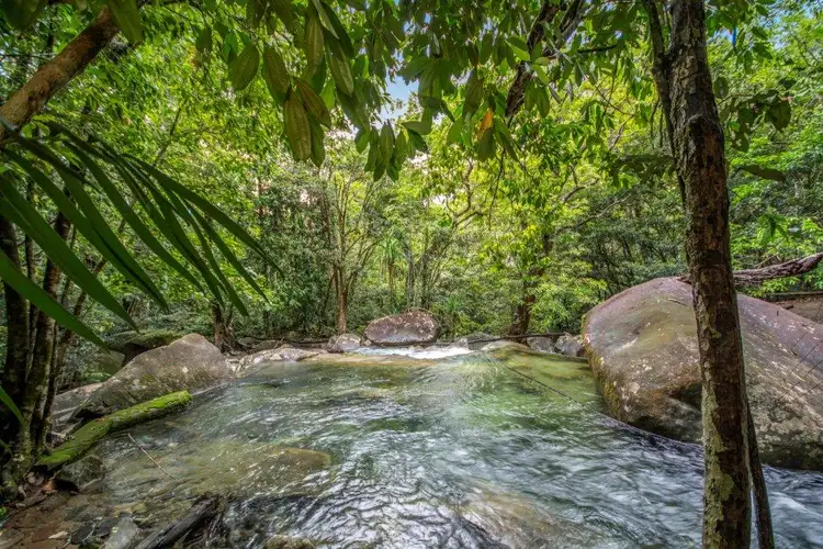Third view of Homely house listing, Lot 190 Stonewood Road, Daintree QLD 4873