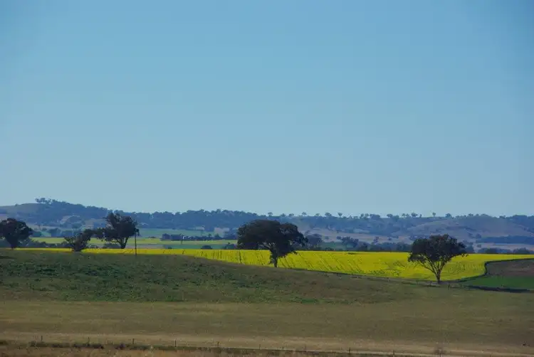 Second view of Homely rural property listing, 26 Phillipsons Lane, Maryvale NSW 2820