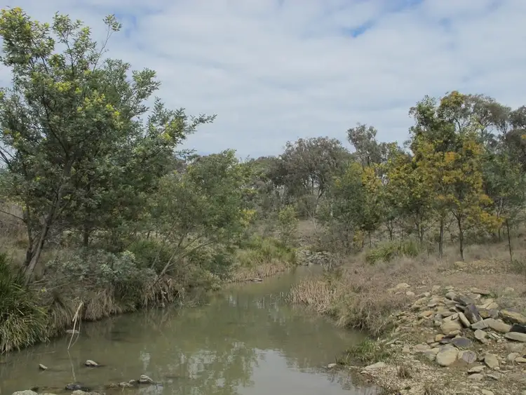 Second view of Homely rural property listing, 595 Pyramul Road, Mudgee NSW 2850