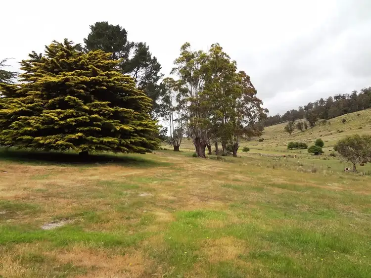 Fifth view of Homely rural property listing, 2109 Deddington Road, Blessington TAS 7212