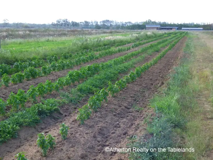 Seventh view of Homely rural property listing, Address available on request