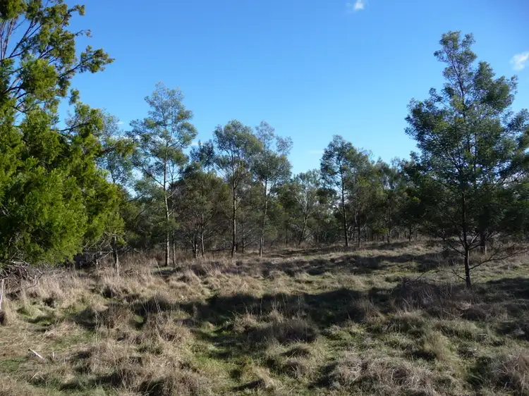 Fifth view of Homely land listing, Lot 1 Gilling Brook Road, Forcett TAS 7173