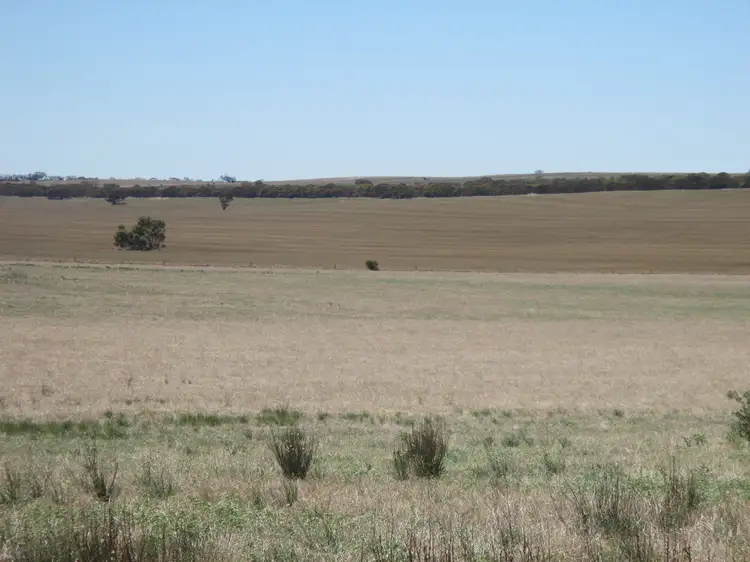 Seventh view of Homely rural property listing, Lot 59 Hunter Road, Younghusband SA 5238