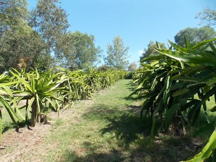 Sixth view of Homely land listing, 76 Brights Road, Nanango QLD 4615