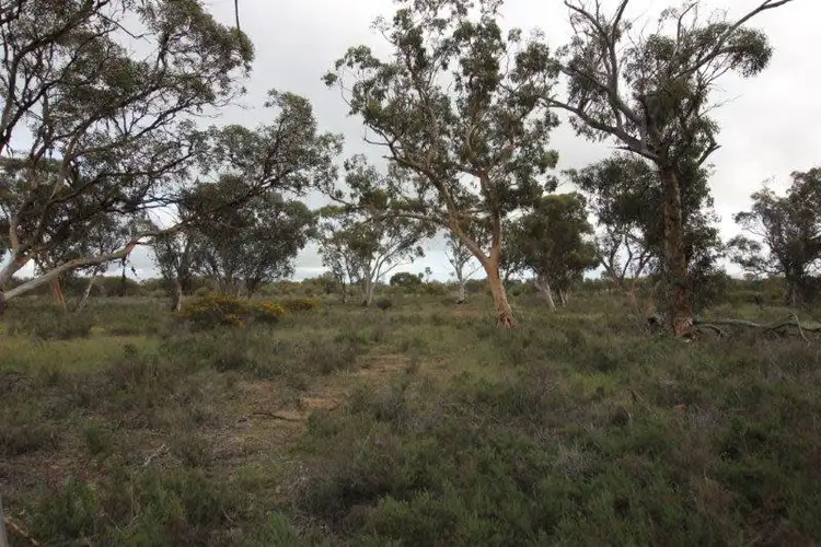 Third view of Homely rural property listing, Lot 6273 Great Eastern Highway, Kellerberrin WA 6410