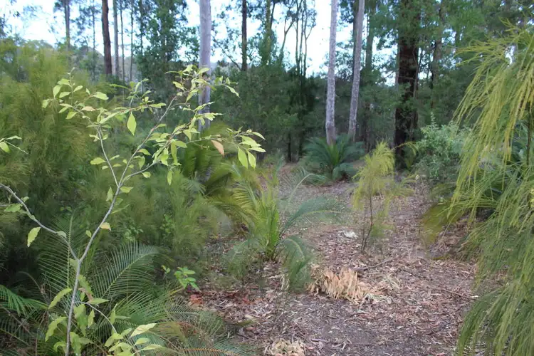 Seventh view of Homely land listing, 42 Litchfield Crescent, Long Beach NSW 2536