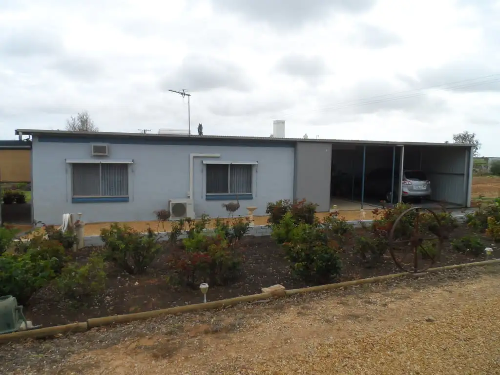 Main view of Homely house listing, 61 Gurney Road, Loxton SA 5333