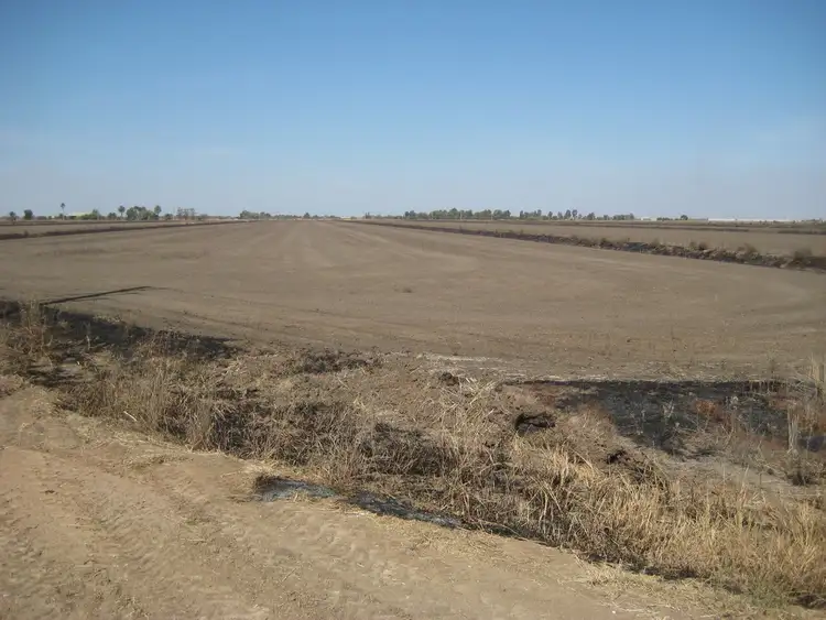 Fourth view of Homely rural property listing, Farms 101B and 101C, Yoogali NSW 2680