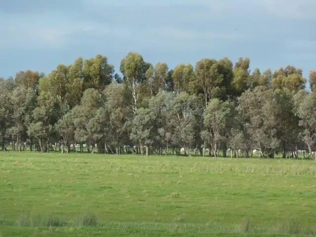 Second view of Homely rural property listing, . Gunbower/Pyramid Hill Road, Gunbower VIC 3566