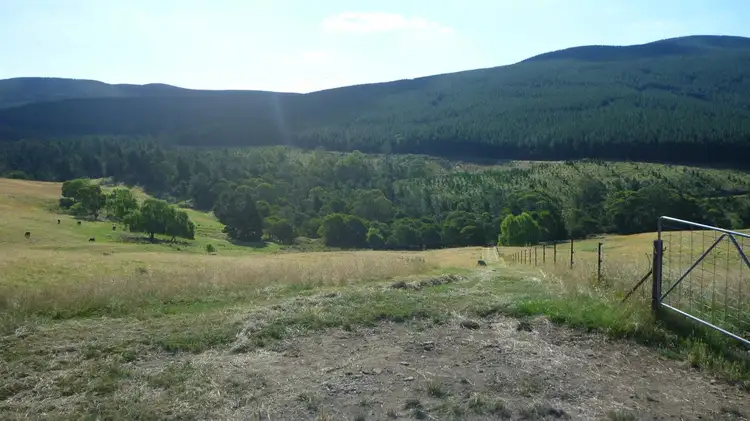 Fifth view of Homely rural property listing, Lot 3 Old Tumbarumba Road, Tumut NSW 2720