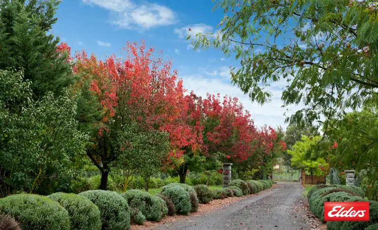 Fifth view of Homely house listing, 10 Merryville Drive, Murrumbateman NSW 2582