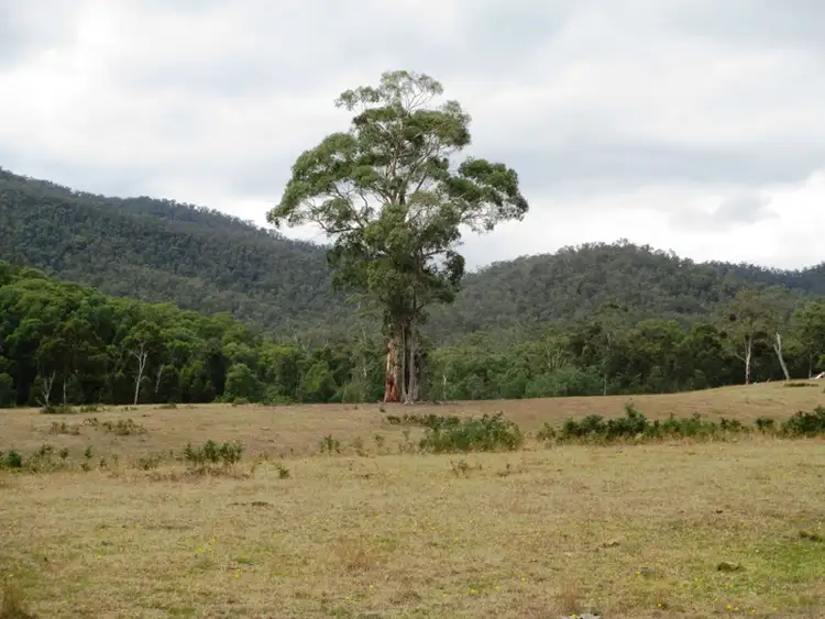 Fifth view of Homely rural property listing, Part - 191 Jamieson - Licola Road, Jamieson VIC 3723