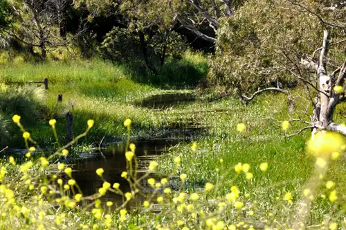 Seventh view of Homely rural property listing, 150 McCanns Road, Mount Duneed VIC 3217