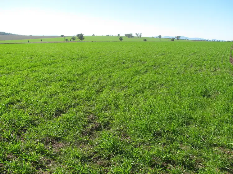 615 "Wilga Park" Caloola Rd, Boggabri NSW 2382