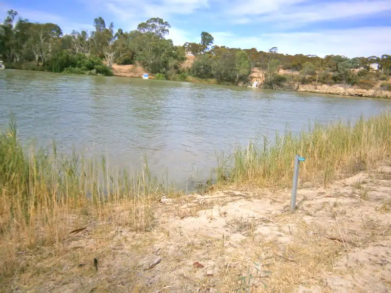 Main view of Homely land listing, 196 Morphett Flat Road, Morgan SA 5320