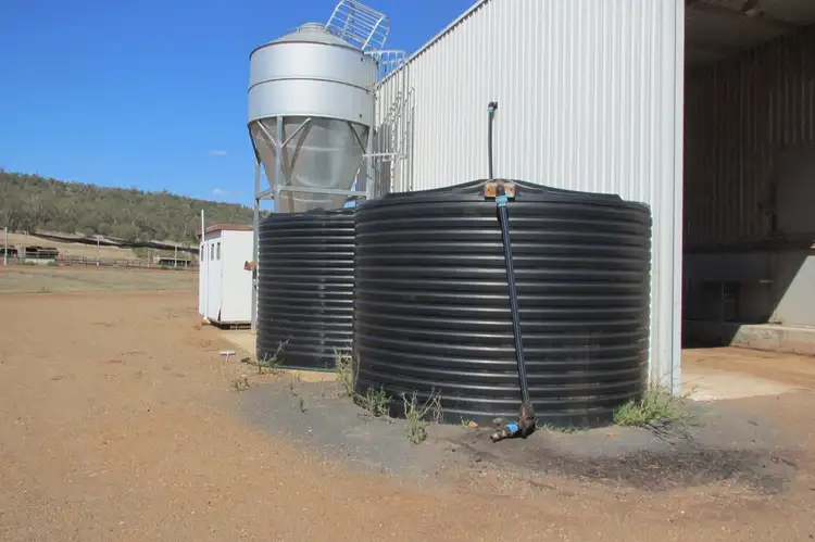 Fifth view of Homely rural property listing, 1200 Binnalong Rd, Boggabri NSW 2382