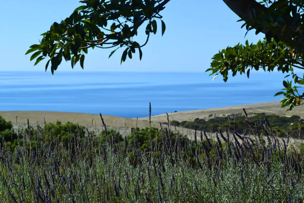 Main view of Homely rural property listing, Lot 10, 74 BUICK ROAD, Kangaroo Head SA 5222