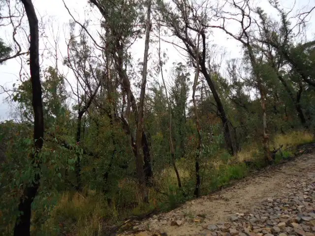 Second view of Homely land listing, 27-29 Salisbury Avenue, Mount Victoria NSW 2786