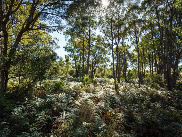 Sixth view of Homely land listing, 3118 Pacific Way, Tura Beach NSW 2548