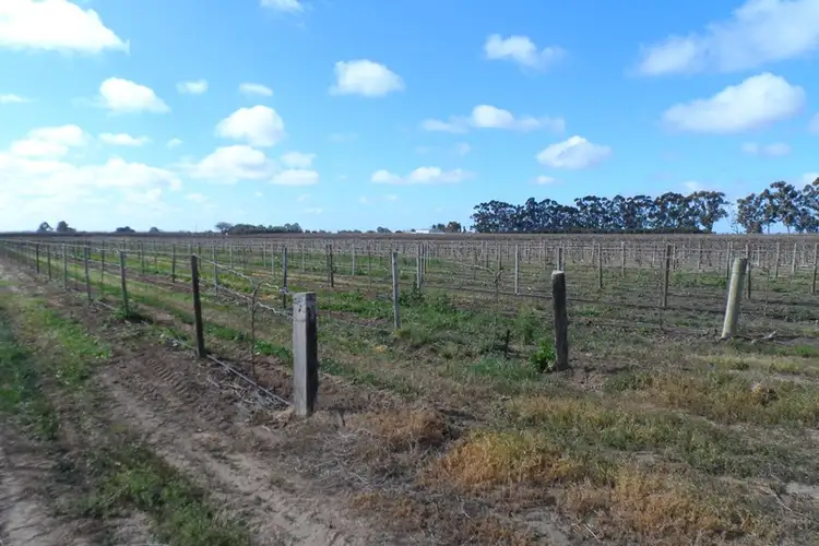 Sixth view of Homely land listing, Lot 101 Darling Street, Renmark SA 5341