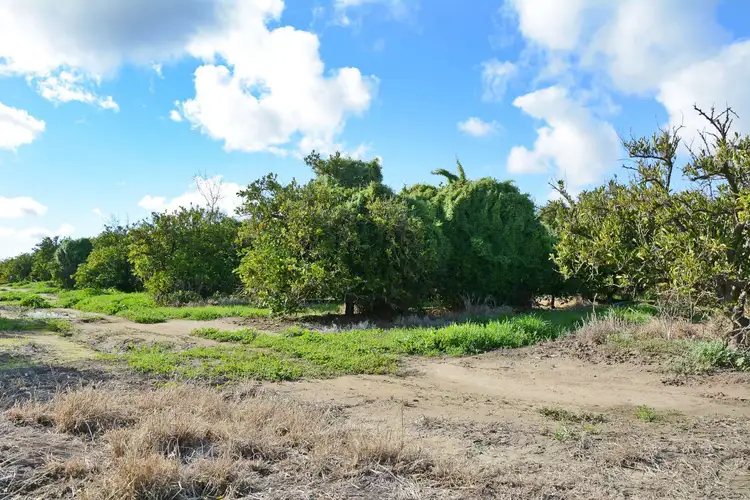 Seventh view of Homely land listing, Lot 6 Channel Road, Curlwaa NSW 2648