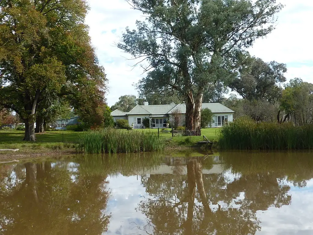 Main view of Homely rural property listing, 136 Shockeroo Road Humula, Wagga Wagga NSW 2650