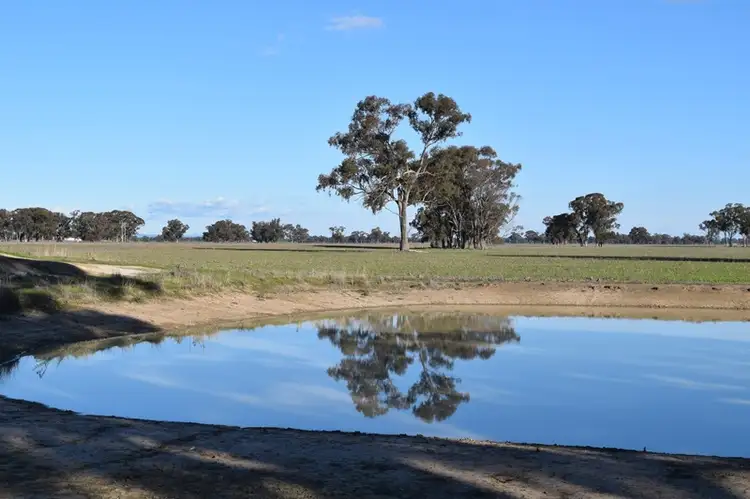 Seventh view of Homely rural property listing, 7216 Riverina Highway, Corowa NSW 2646