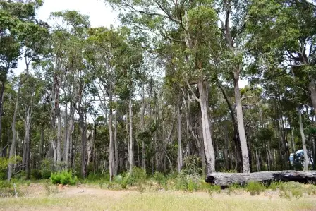 11 Tinglewood Court, Cowaramup WA 6284