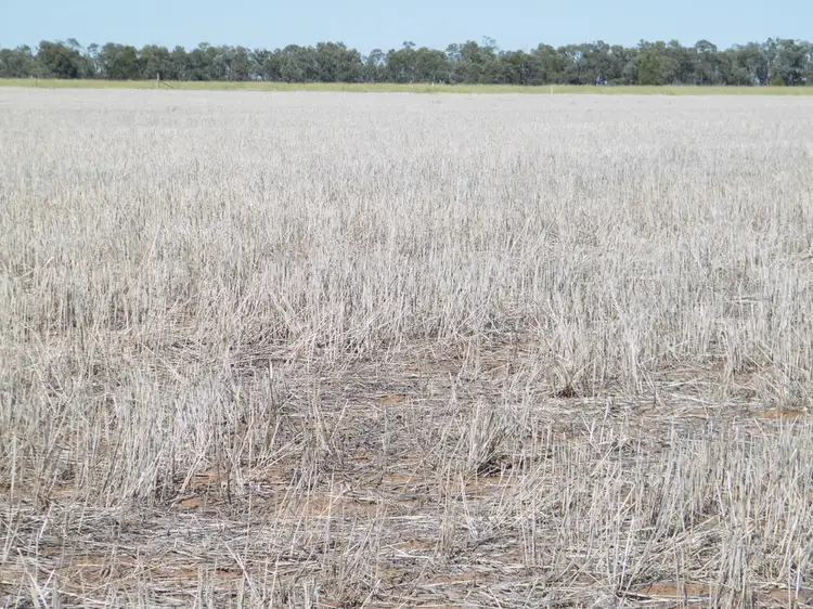 Second view of Homely rural property listing, "Sutton Grange", Meandarra QLD 4422