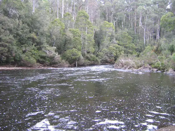 Fourth view of Homely rural property listing, 245 Harveys Road, North Motton TAS 7315