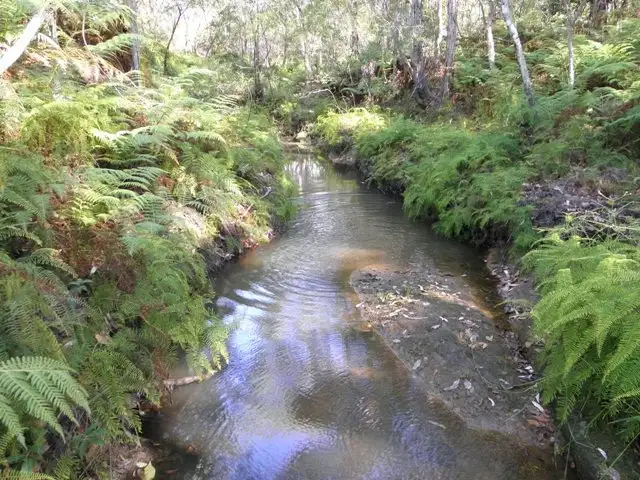 Fifth view of Homely rural property listing, 1290 Stockyard Creek Road, Stockyard Creek NSW 2460