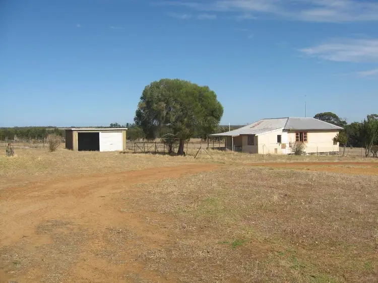 Main view of Homely rural property listing, 354 RANDALL ROAD, Perillup WA 6324