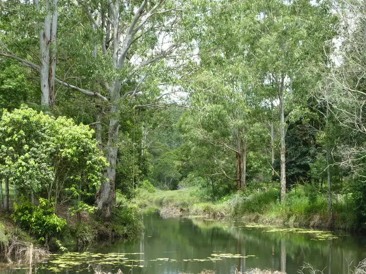Main view of Homely land listing, 1073 Tallawudjah Creek Road, Glenreagh NSW 2450