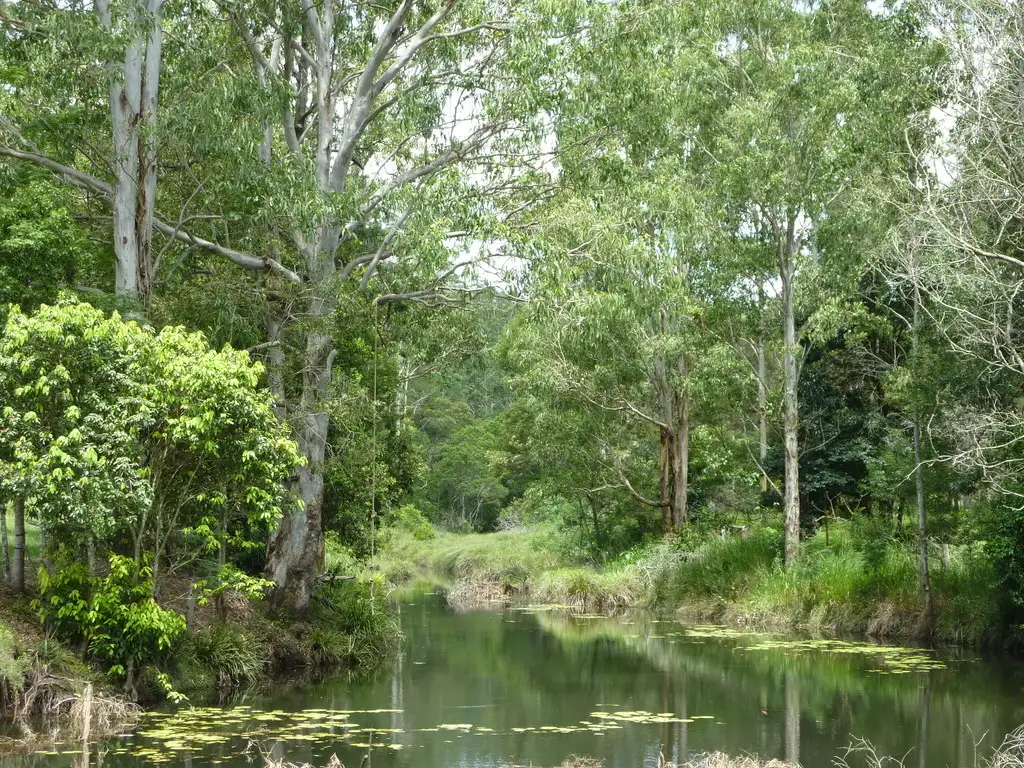 Main view of Homely land listing, 1073 Tallawudjah Creek Road, Glenreagh NSW 2450
