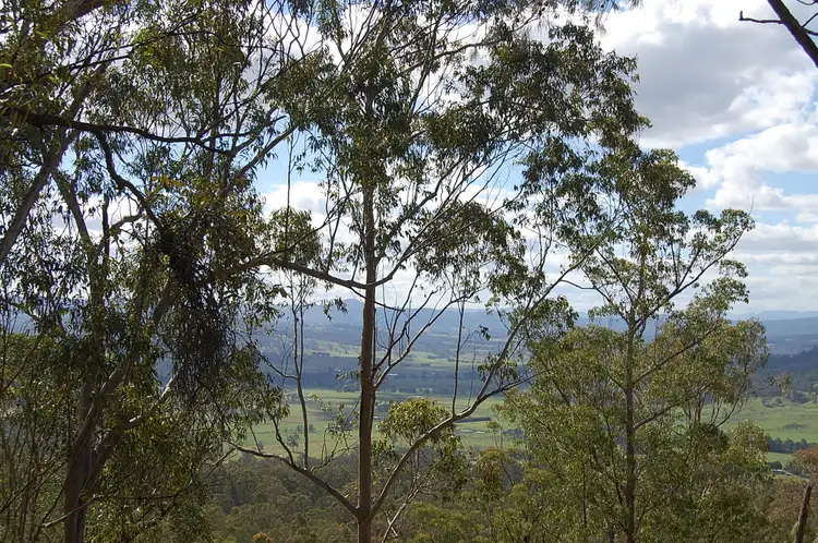 Second view of Homely rural property listing, Lot 101 Duck Creek Road, Old Bonalbo NSW 2469