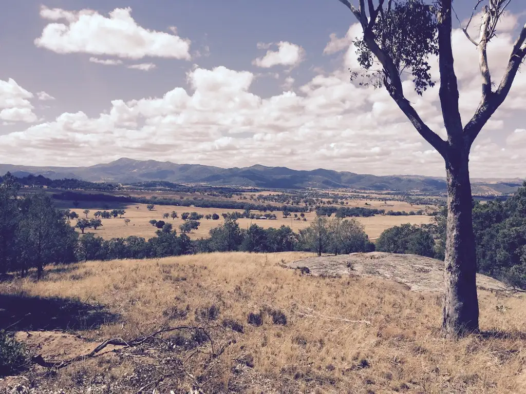 Main view of Homely rural property listing, Lot 5 Yarrol Road, Tamworth NSW 2340