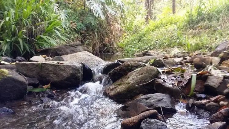 Main view of Homely land listing, 7 Sonny Boy Creek Road, Eungella QLD 4757