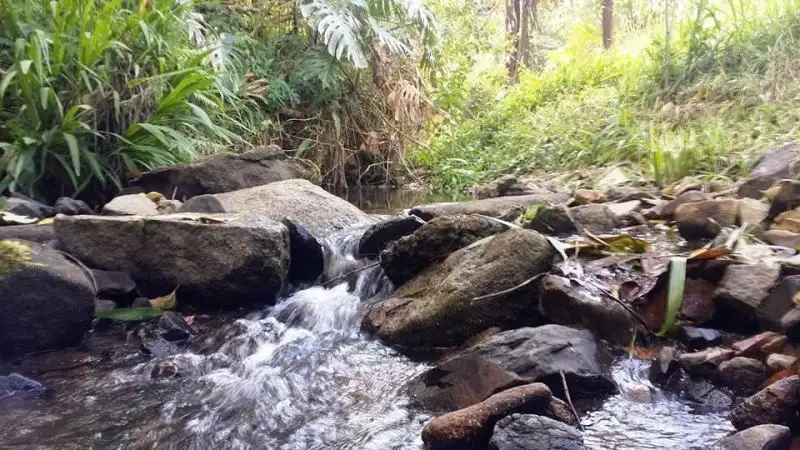 Main view of Homely land listing, 7 Sonny Boy Creek Road, Eungella QLD 4757