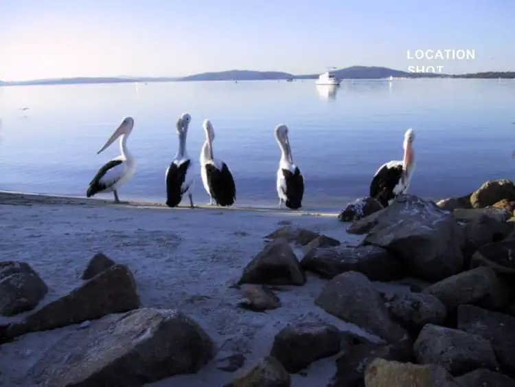 Third view of Homely land listing, 44 Whitbread Drive, Lemon Tree Passage NSW 2319