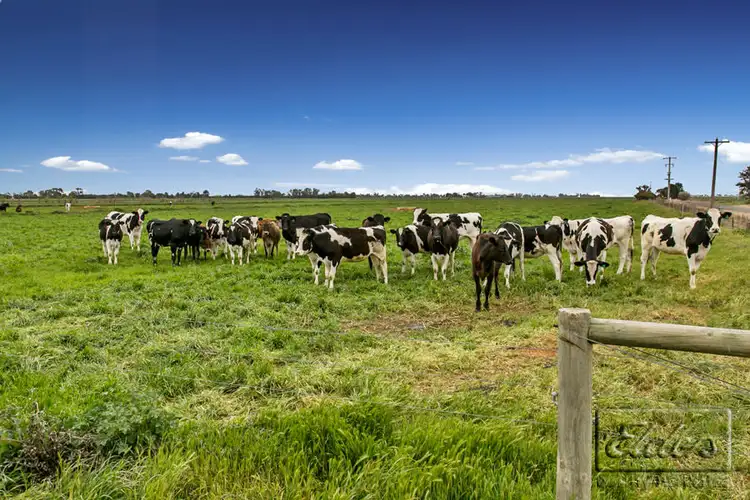 Sixth view of Homely rural property listing, 79 Dingee-Serpentine Road, Dingee VIC 3571
