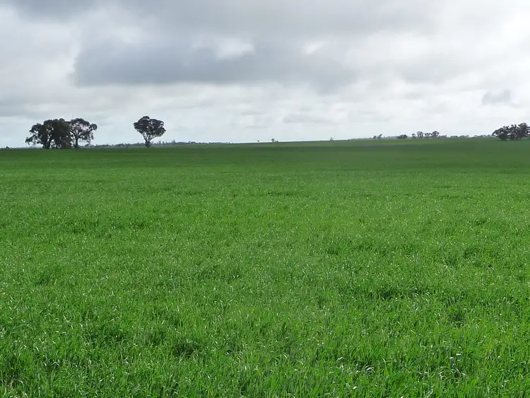 Third view of Homely rural property listing, # Dow Wells Road, Nhill VIC 3418