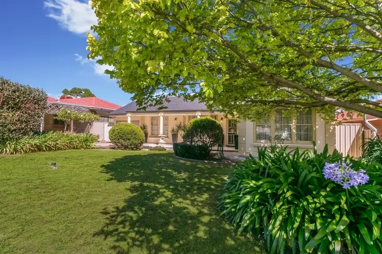21 Launer Avenue, Rostrevor SA 5073