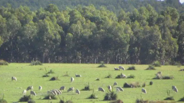 Fourth view of Homely rural property listing, Address available on request