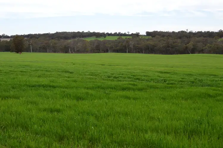 Seventh view of Homely rural property listing, L101 BOYUP BROOK-ARTHUR ROAD, Trigwell WA 6244